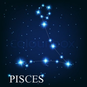 vector of the pisces zodiac sign of the beautiful bright stars o
